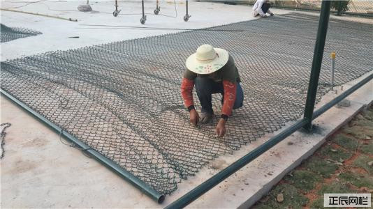 1638406760126583.jpg 1487989831179988.jpg