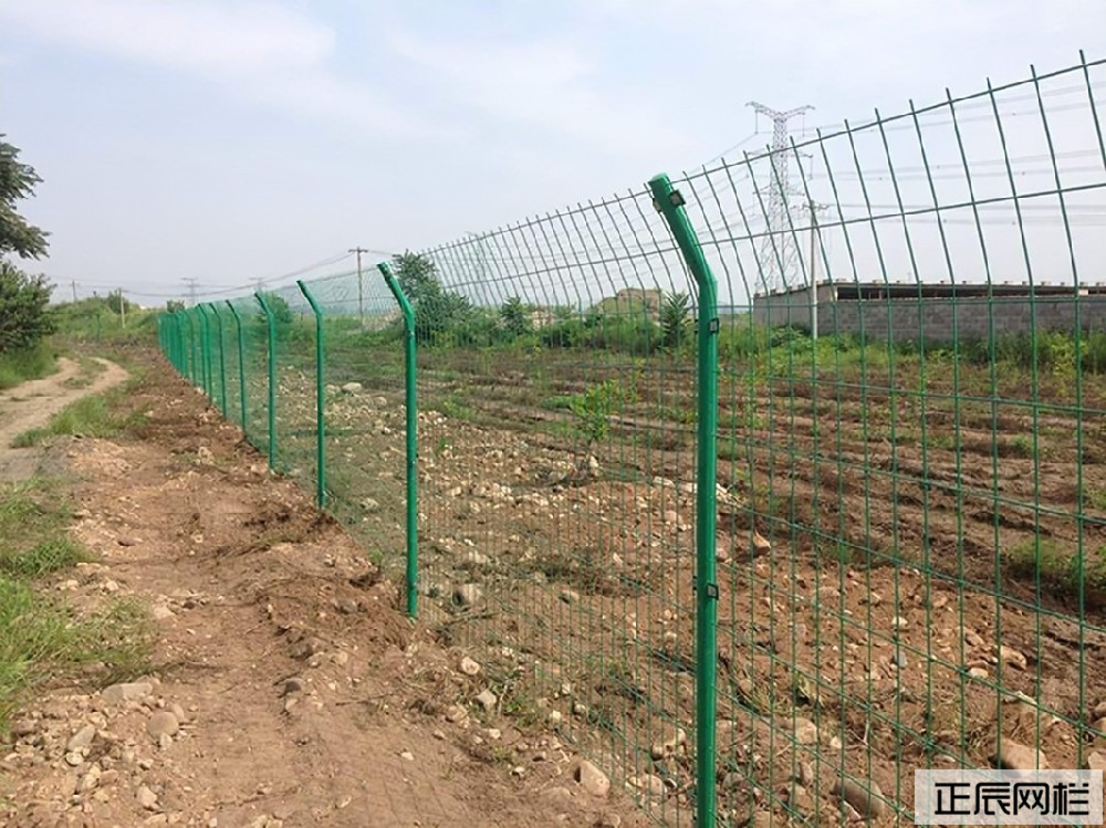 1639702667210492.jpg R-C (13).jpg