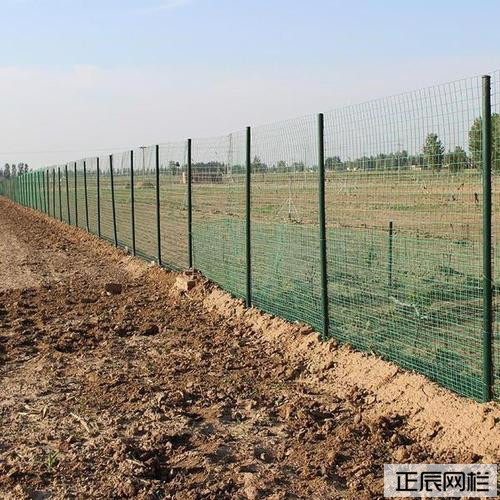 1643866241713463.jpg u=4250963440,3459947145&fm=26&gp=0.jpg