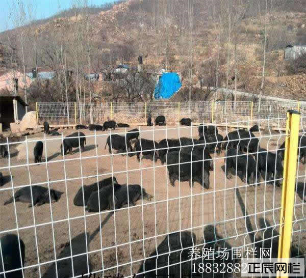 1645407290742844.jpg timg.jpg