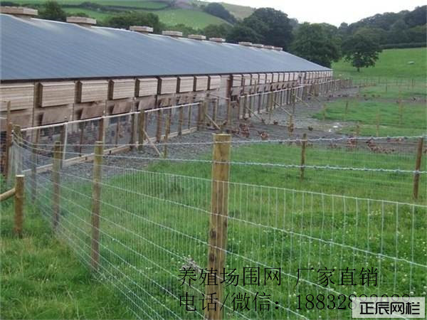 1646786279989993.jpg 牧場(chǎng)圍欄網(wǎng)