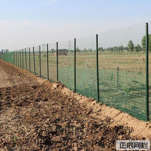 護欄網(wǎng)價格多少錢一卷 護欄網(wǎng)價格多少錢一卷