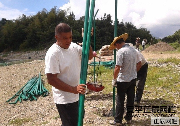 護(hù)欄網(wǎng)安裝步驟