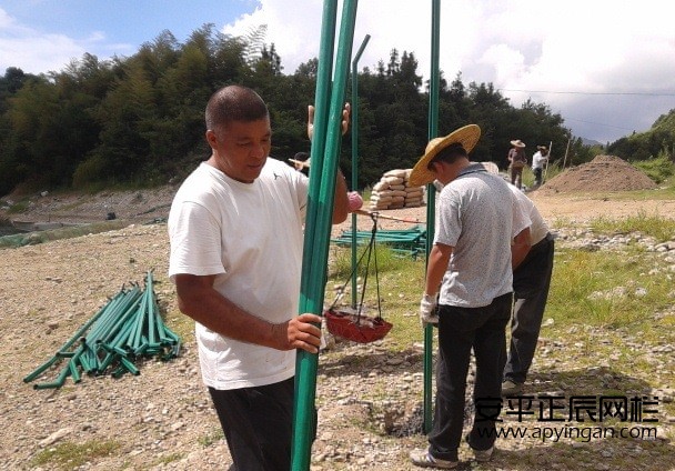 光伏場區(qū)圍欄