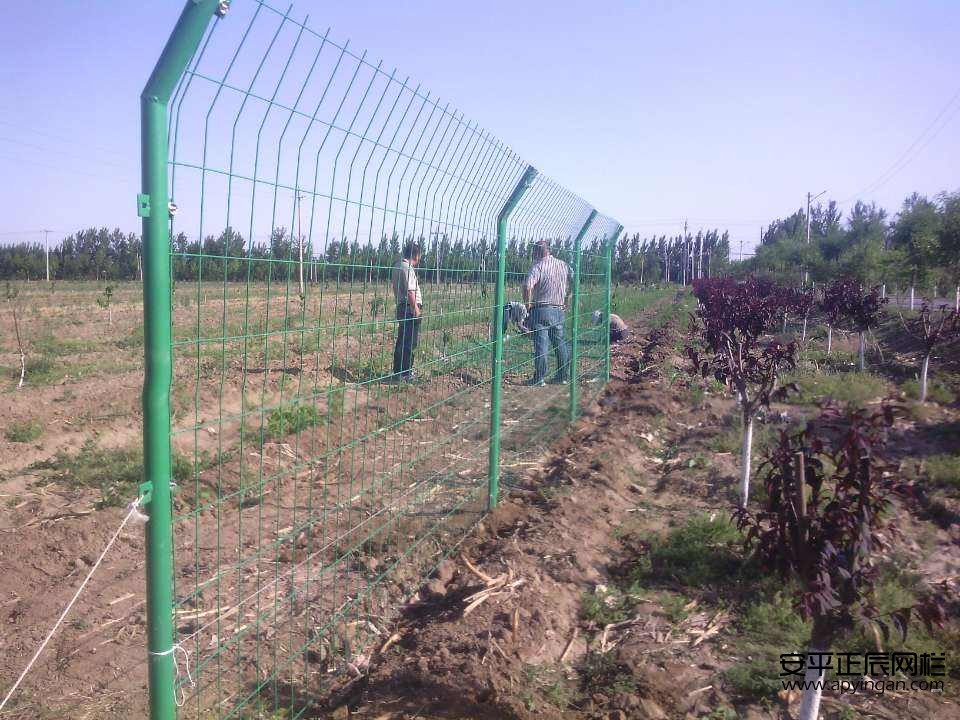 1657239387255361.jpg timg.jpg