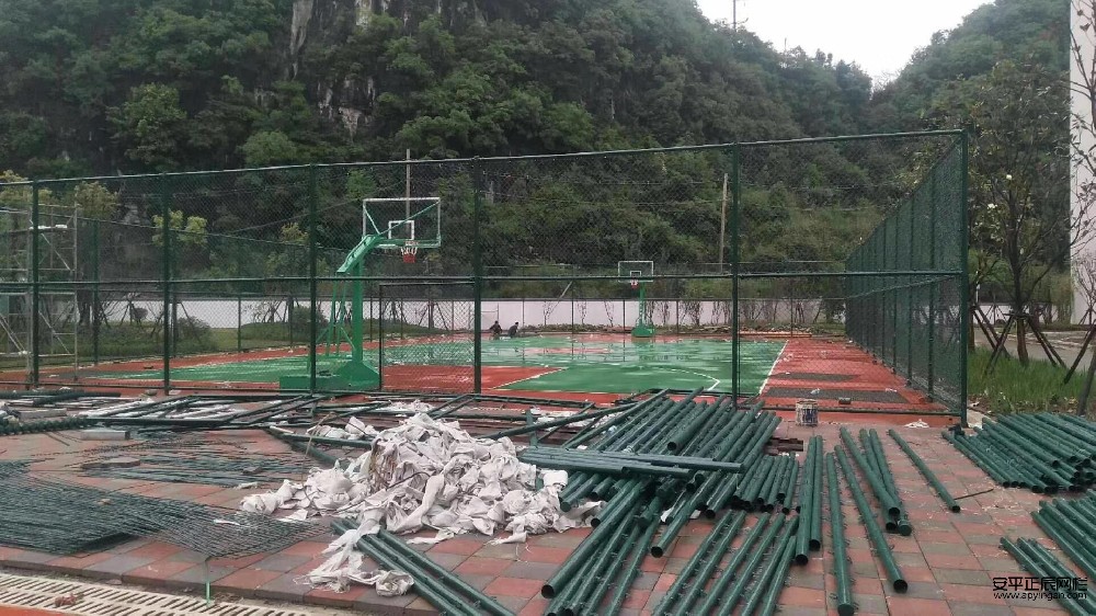 1657334775726852.jpg mmexport1567841304852.jpg