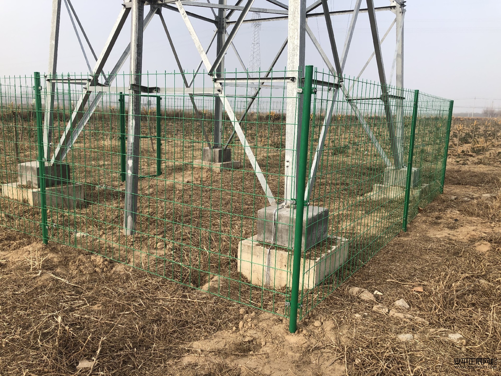 1658138486136571.jpg IMG_1950.JPG