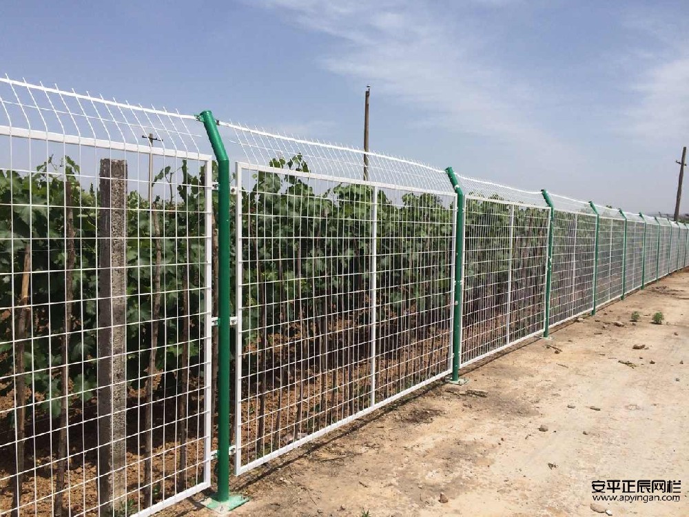 農(nóng)田護欄網(wǎng)多少錢一米
