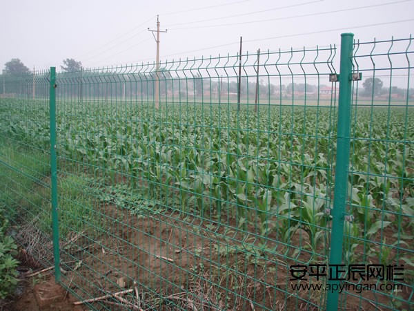 農(nóng)田護欄網(wǎng)多少錢一米