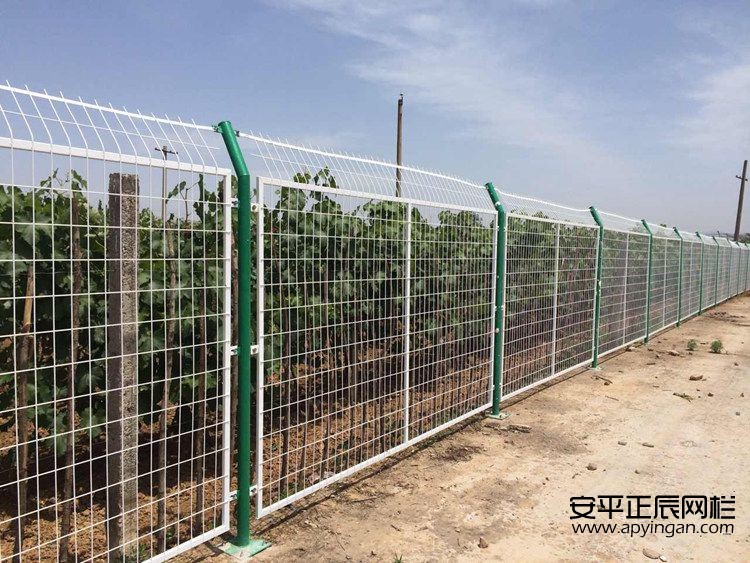 隔離護欄網(wǎng)