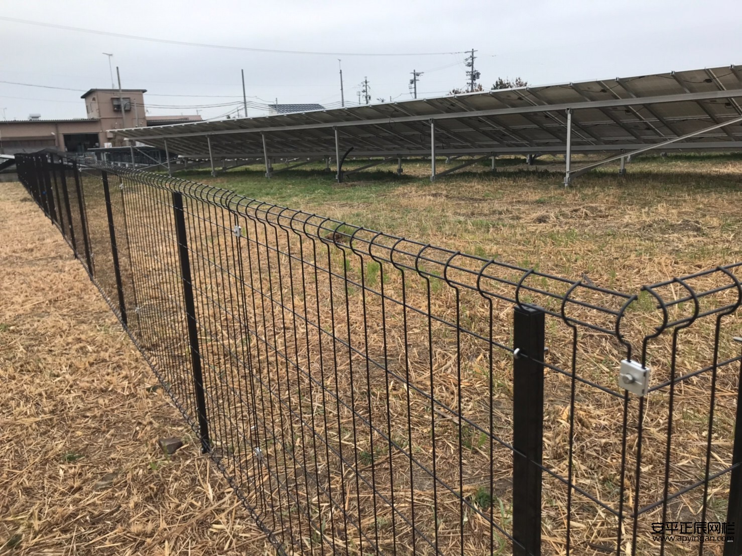 市政園林防護(hù)網(wǎng)