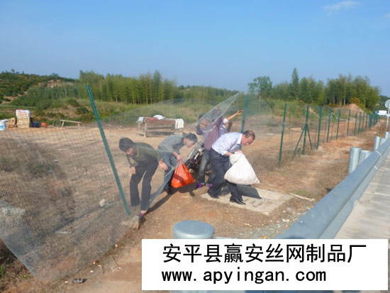 公路護(hù)欄網(wǎng)