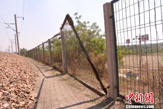 鐵路護欄網(wǎng)