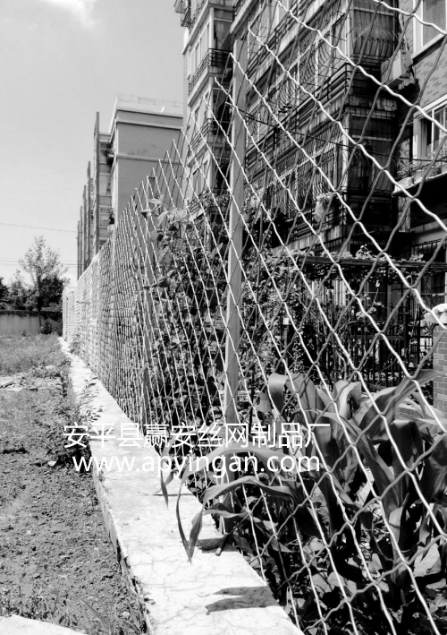 護(hù)欄網(wǎng)