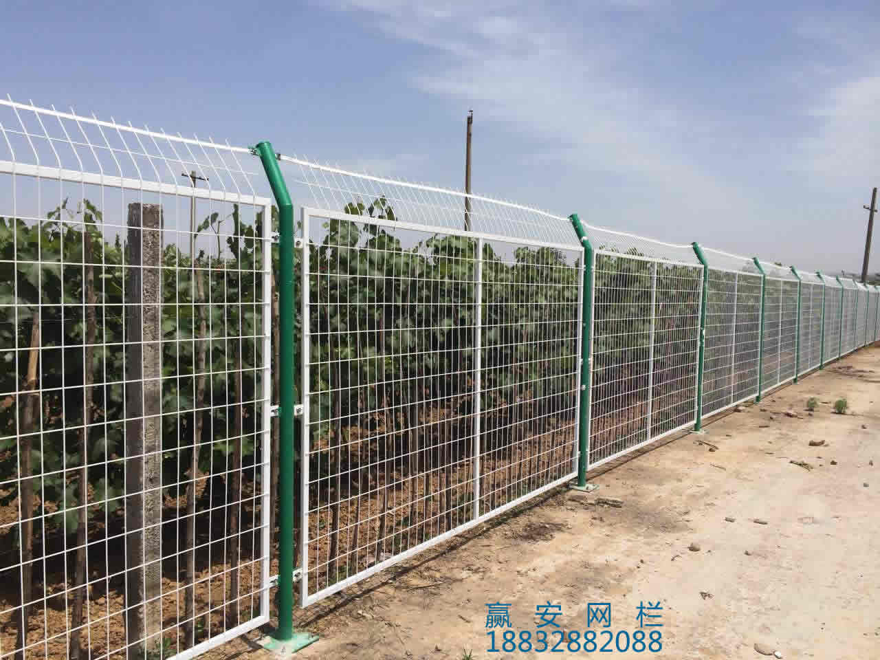 護(hù)欄網(wǎng)