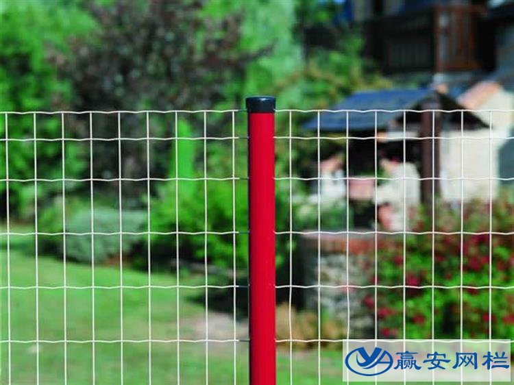 公路護(hù)欄網(wǎng)