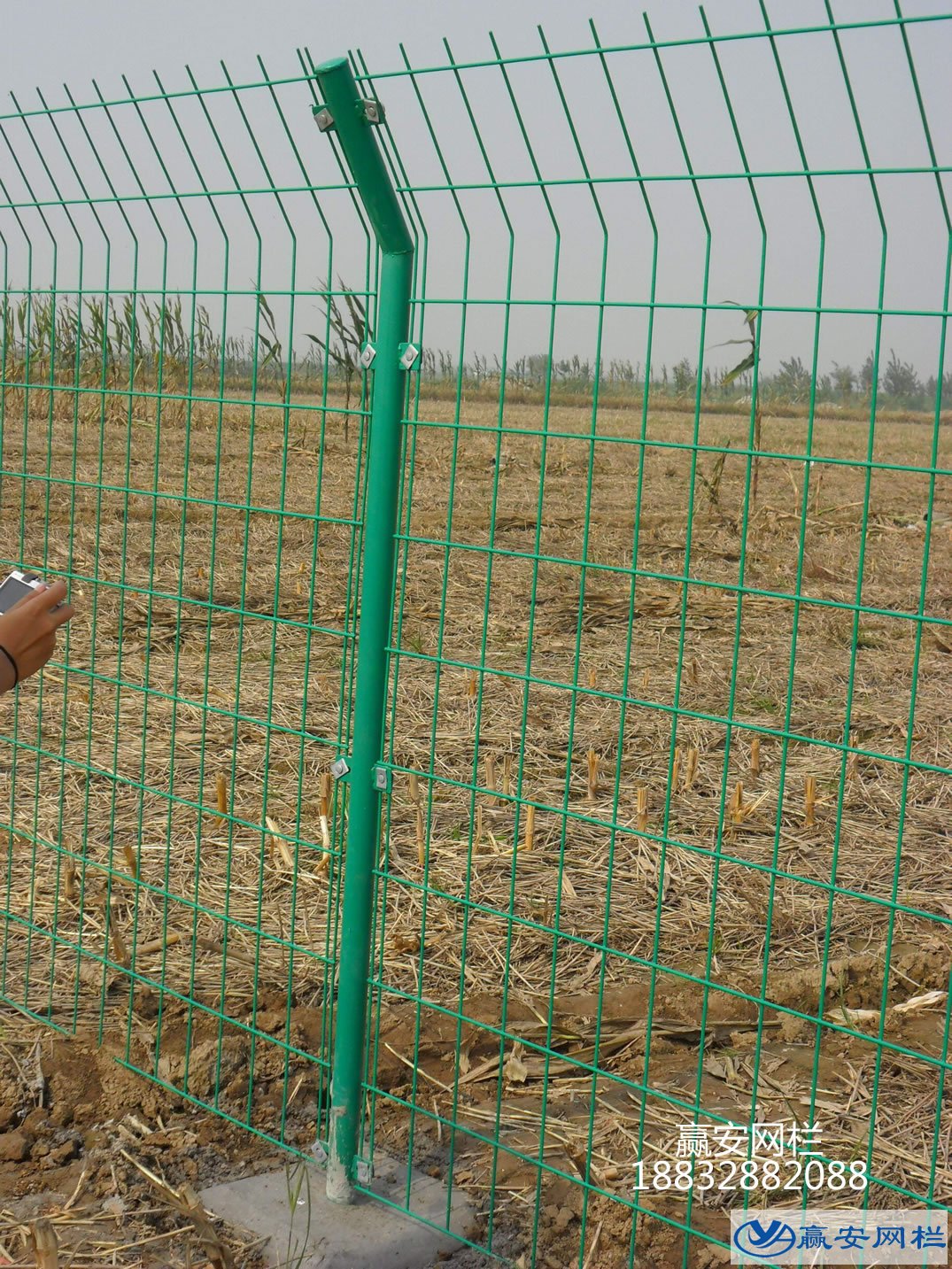 雙邊絲護(hù)欄網(wǎng)