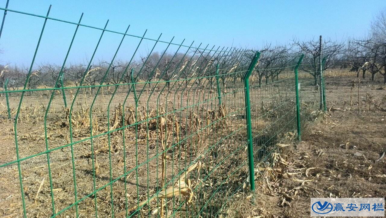 果園護(hù)欄網(wǎng)