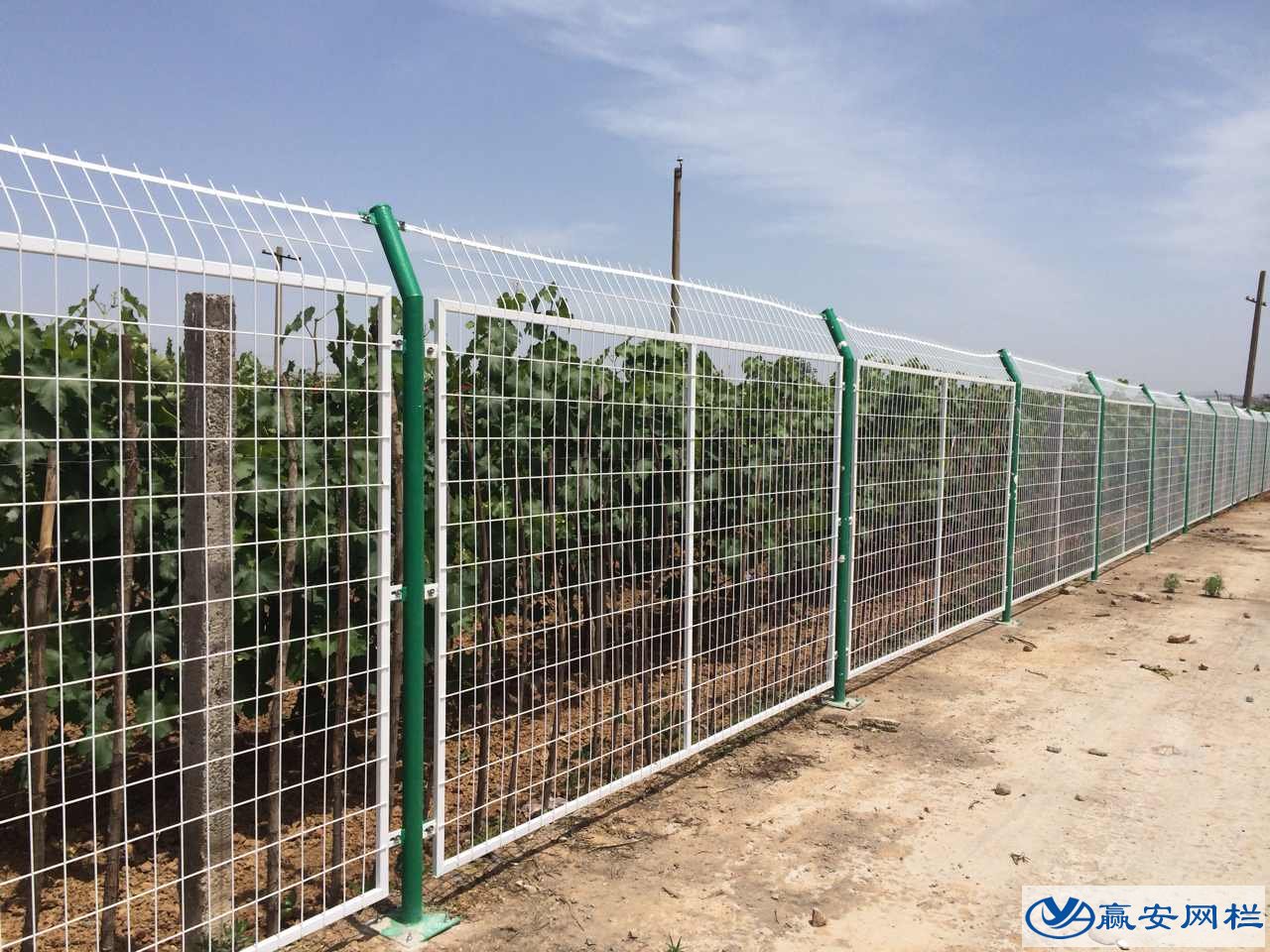 護(hù)欄網(wǎng)規(guī)格型號(hào)