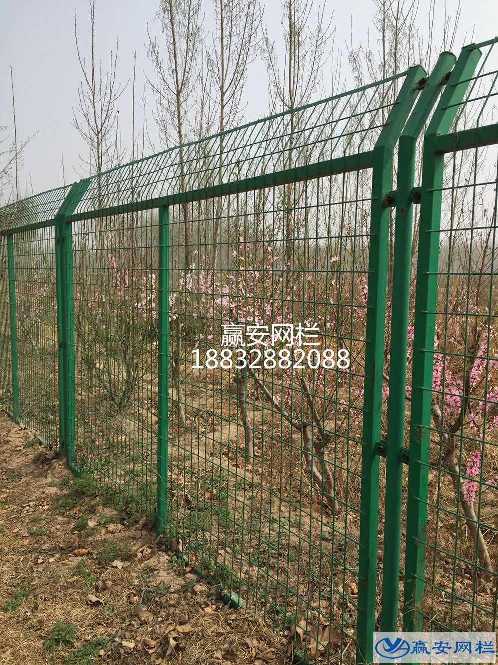 圈地護(hù)欄網(wǎng)
