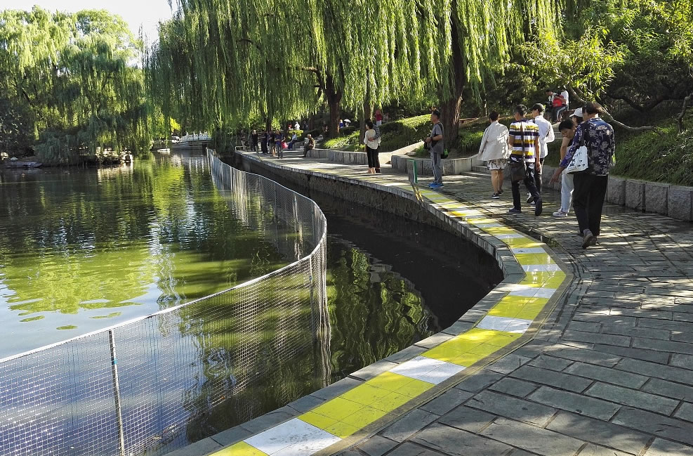 動(dòng)物園隔離網(wǎng)