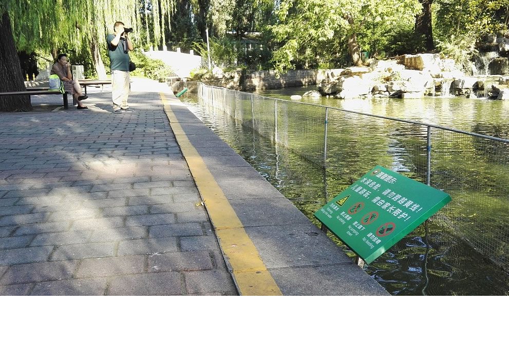 動(dòng)物園隔離網(wǎng)