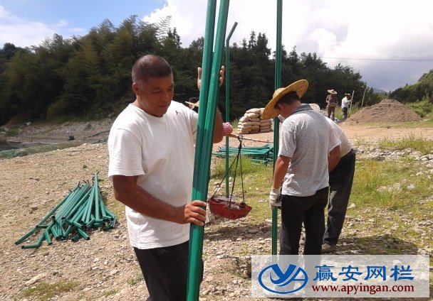 太陽能電站圍欄網(wǎng)