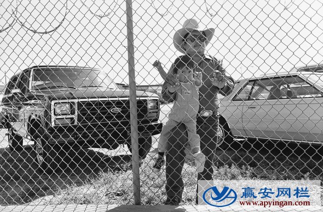 勾花式護(hù)欄網(wǎng)