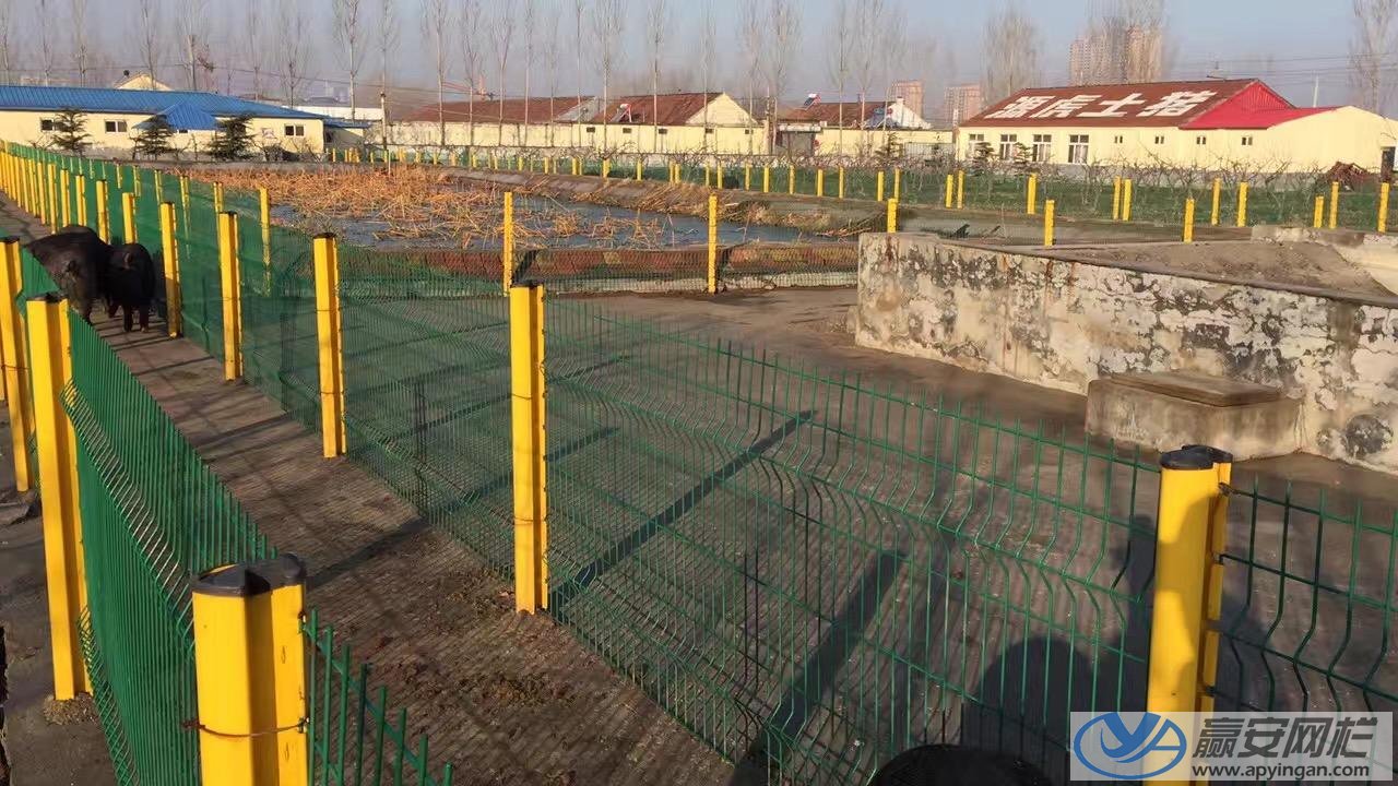 養(yǎng)豬場圍欄網(wǎng)