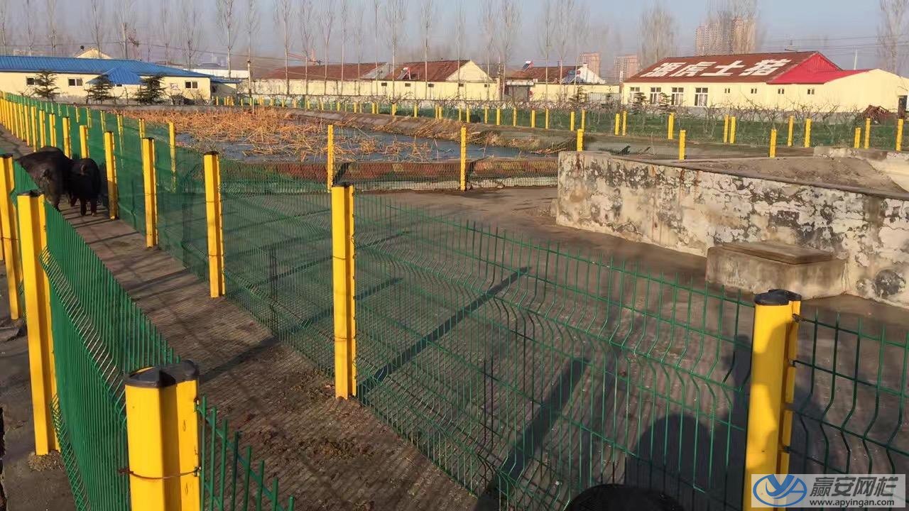 養(yǎng)殖場鐵絲網(wǎng)