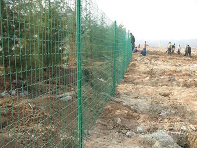 養(yǎng)雞場圍欄網 養(yǎng)雞場圍欄網