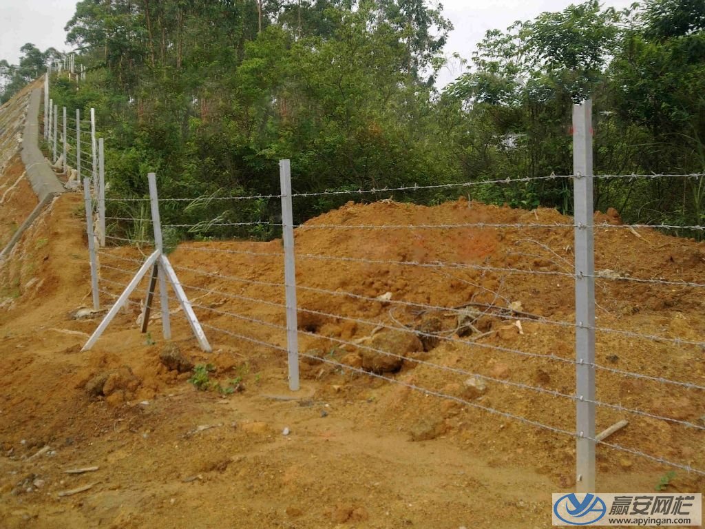 刺繩鐵絲 刺繩鐵絲