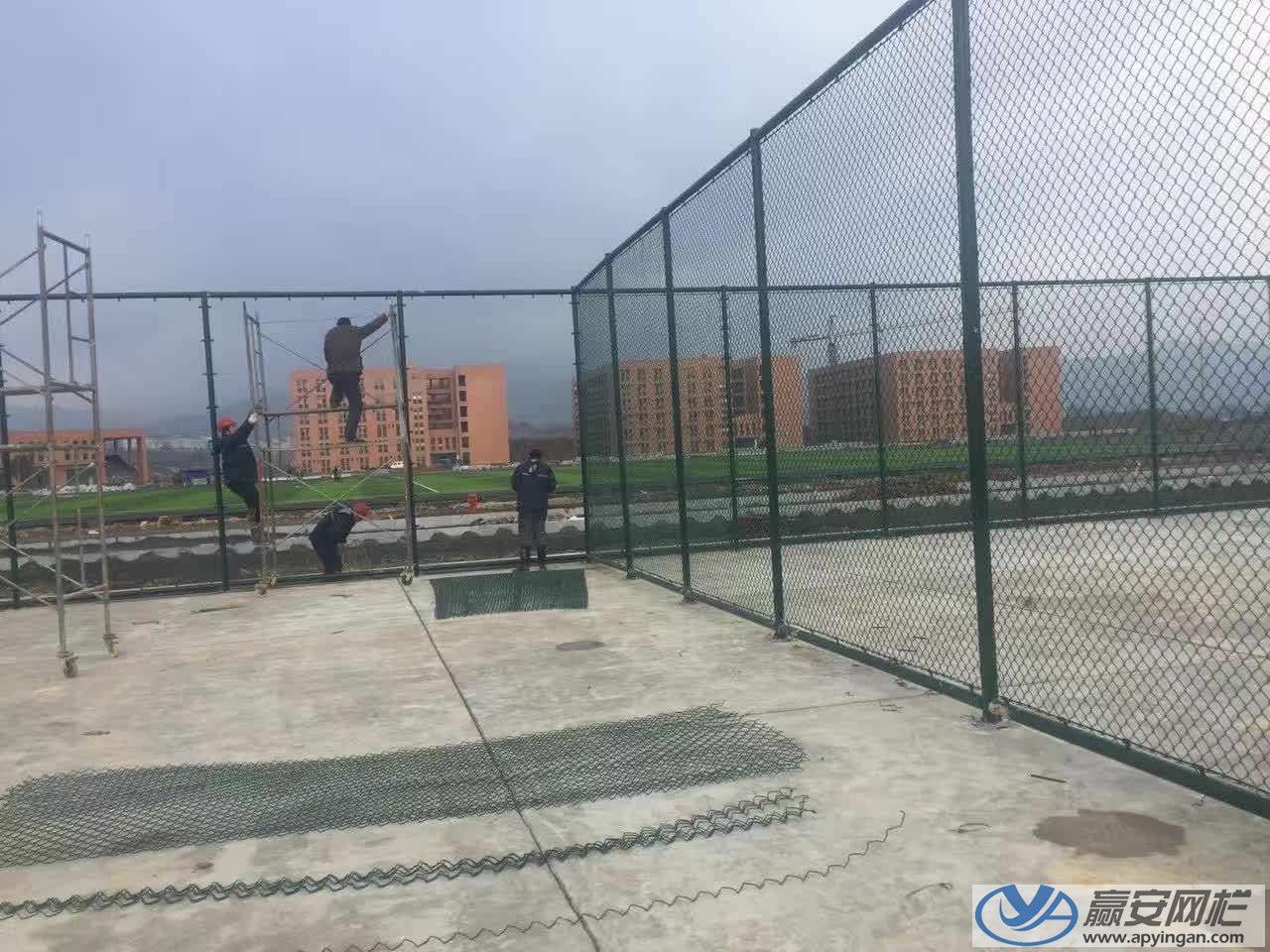 球場圍欄價(jià)格