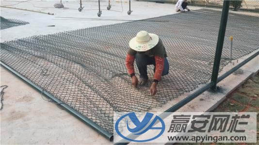 體育場(chǎng)綠色圍網(wǎng)