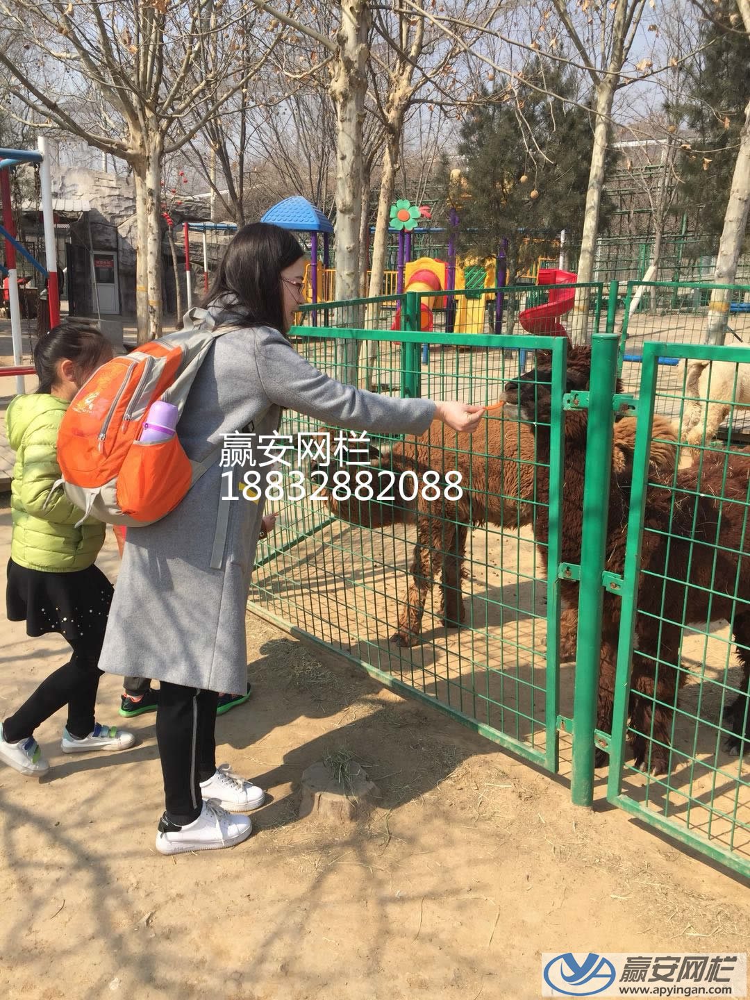 框架護(hù)欄網(wǎng) 框架護(hù)欄網(wǎng)