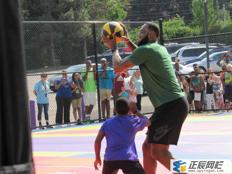 球場圍欄網(wǎng)