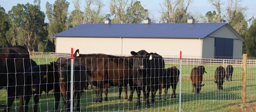 養(yǎng)羊護(hù)欄網(wǎng)