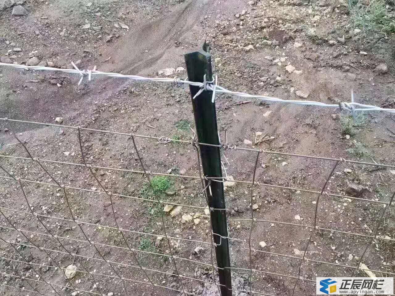 護(hù)欄網(wǎng)與立柱