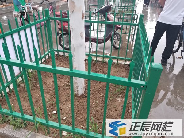 樹木保護(hù)圍欄