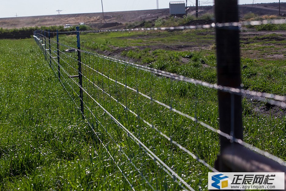 農(nóng)場(chǎng)圍欄