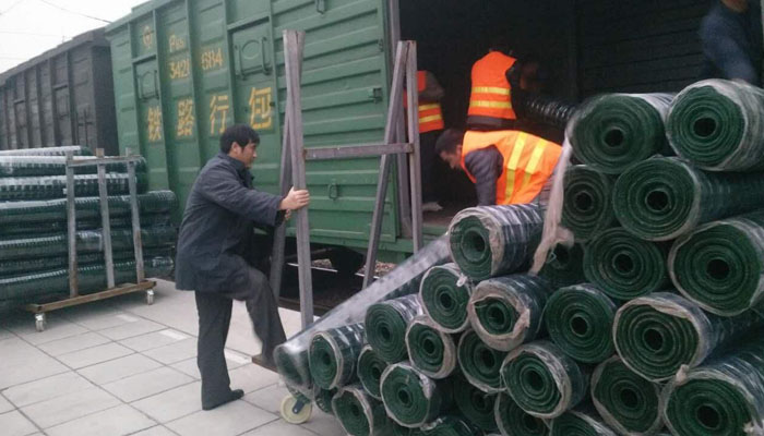 養(yǎng)雞護(hù)欄網(wǎng)