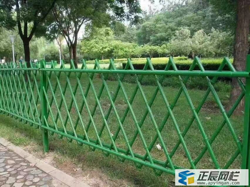 綠色隔離網(wǎng)圖片