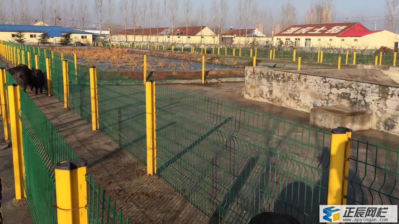 養(yǎng)豬場護(hù)欄網(wǎng) 護(hù)欄網(wǎng)價格