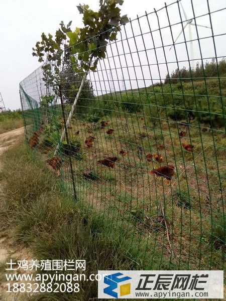 養(yǎng)殖場圍欄網(wǎng)