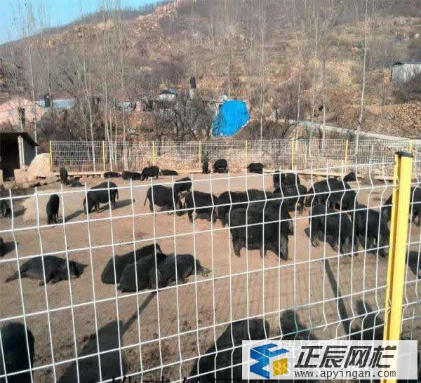 養(yǎng)殖場圍欄