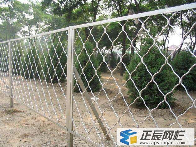 護(hù)欄網(wǎng)