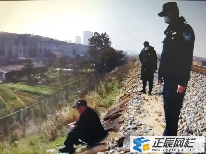 鐵路護欄網(wǎng)