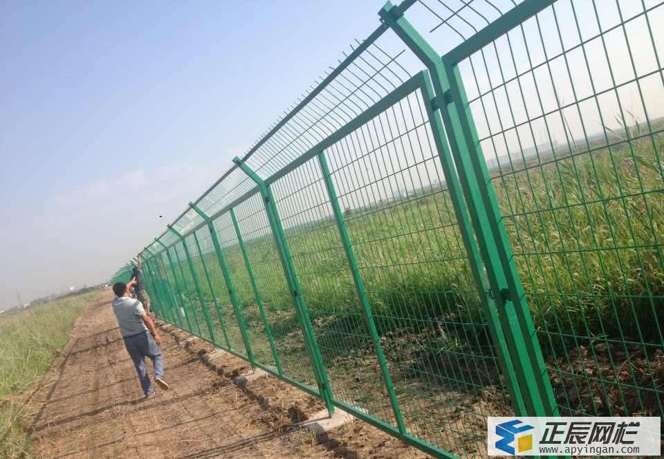 圈地護(hù)欄網(wǎng)