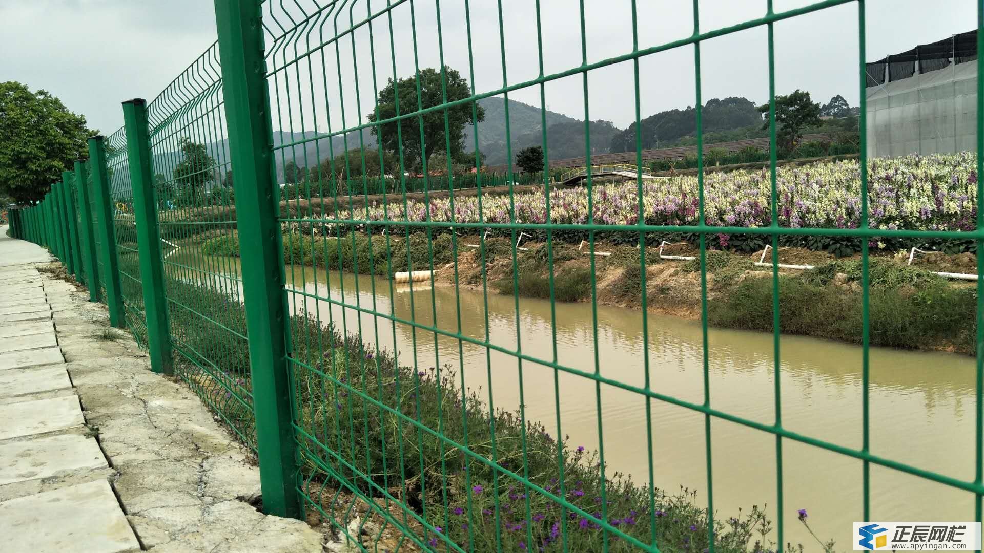 池塘護(hù)欄網(wǎng)