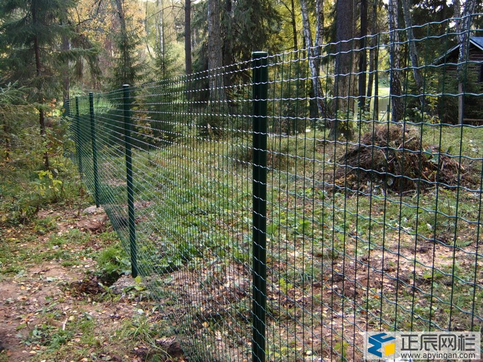 護(hù)欄網(wǎng)圖片